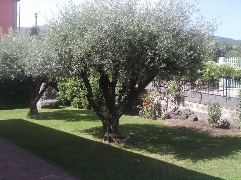 Vila Scatitti House Zafferana Etnea Pokoj fotografie